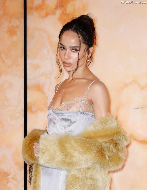 Zoë Kravitz photo 1 of 404