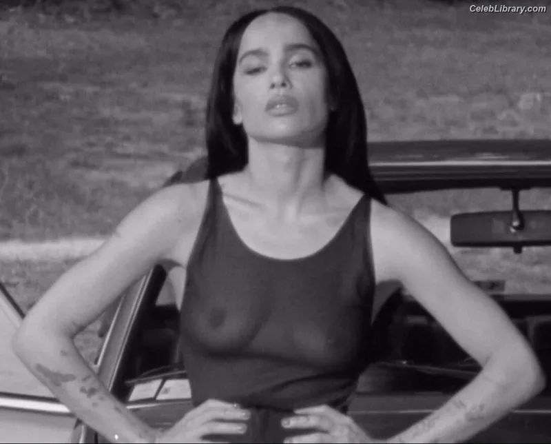 Zoë Kravitz photo 16 of 404