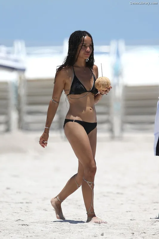 Zoë Kravitz photo 14 of 404