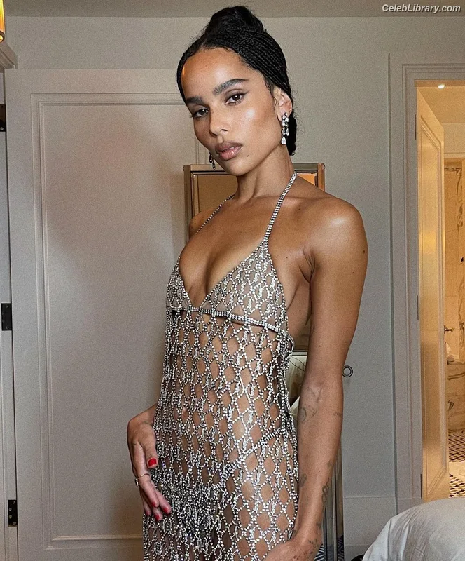 Zoë Kravitz photo 14 of 404