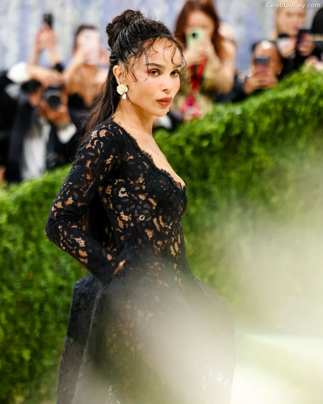 Zoë Kravitz photo 22 of 404