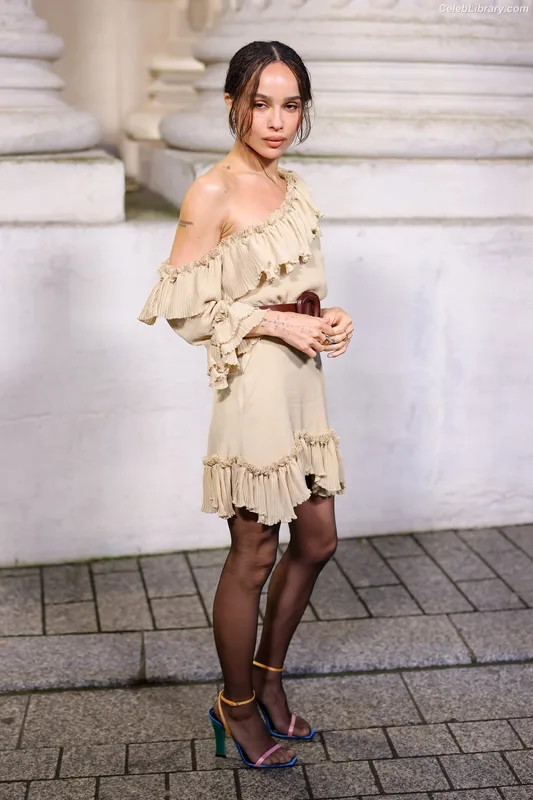 Zoë Kravitz photo 14 of 404