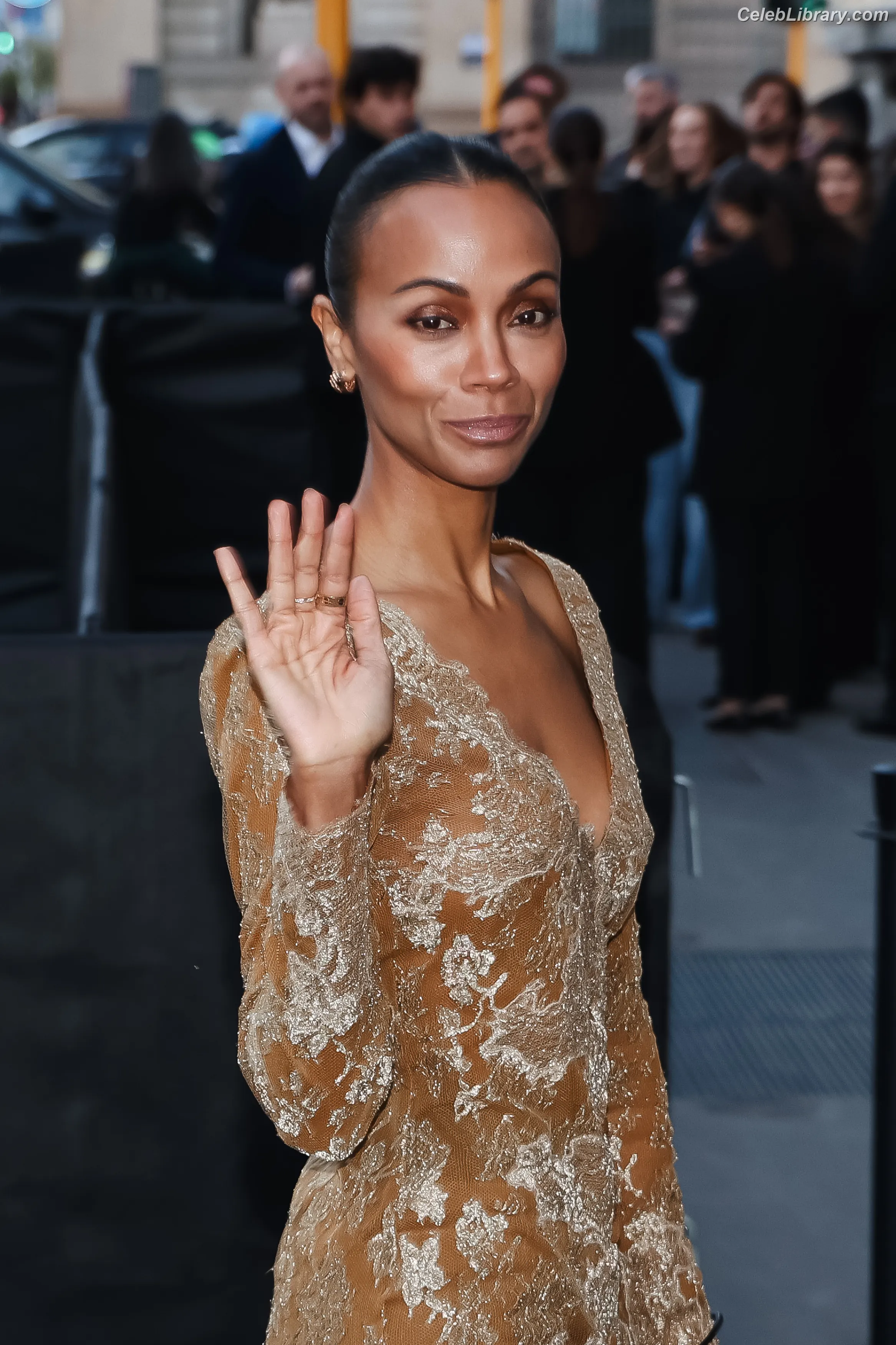Zoe Saldana photo 2 of 867