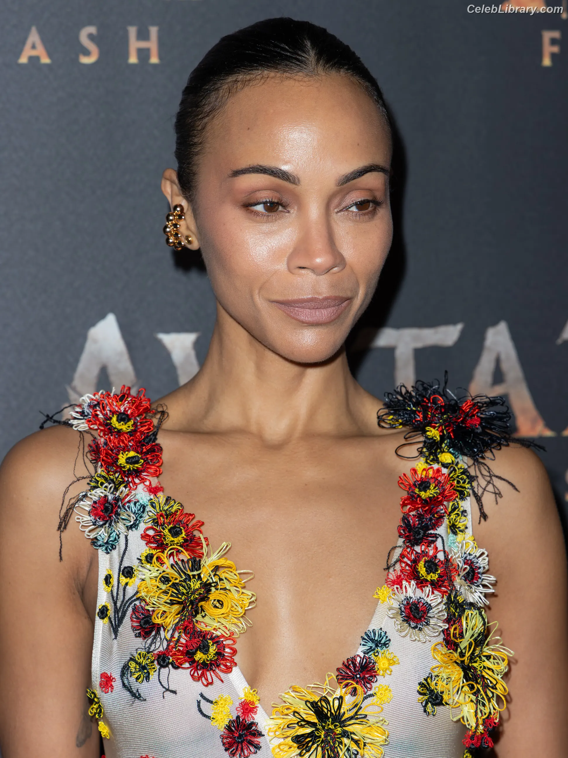 Zoe Saldana photo 17 of 867