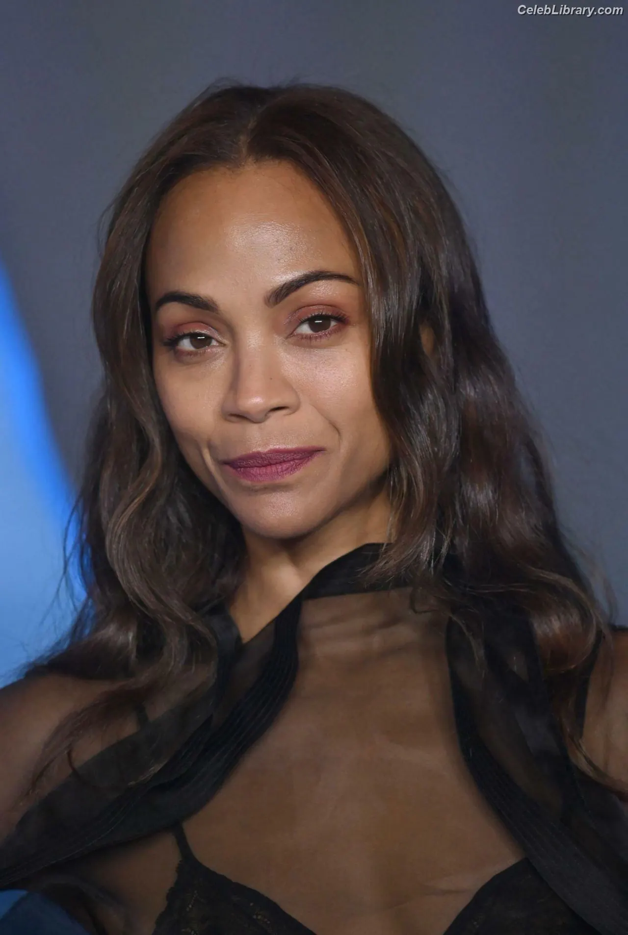 Zoe Saldana photo 1 of 867