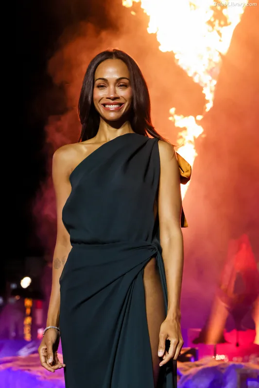 Zoe Saldana photo 2 of 868