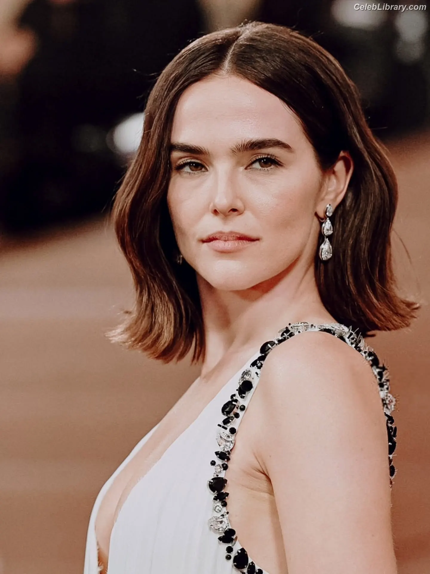 Zoey Deutch photo 21 of 1463