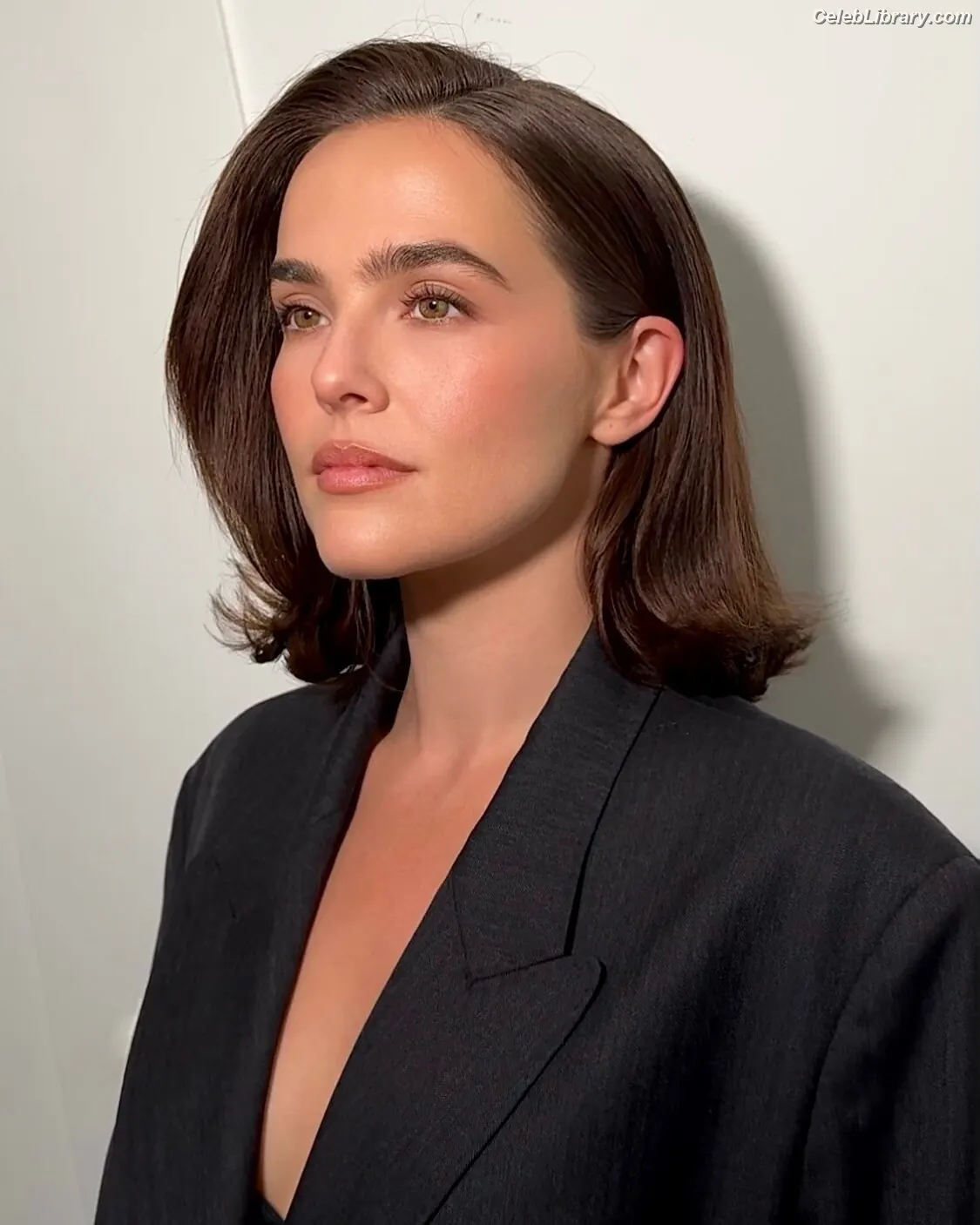 Zoey Deutch photo 11 of 1463