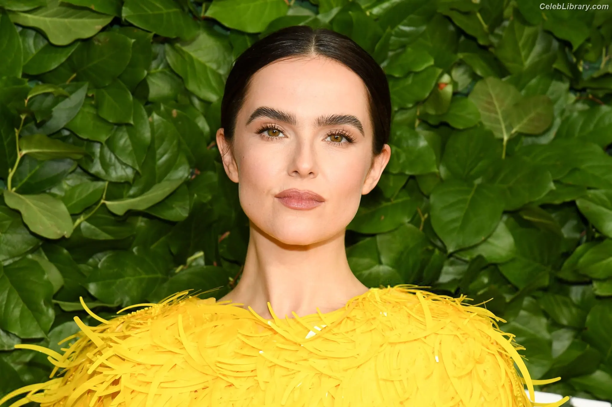 Zoey Deutch photo 15 of 1463