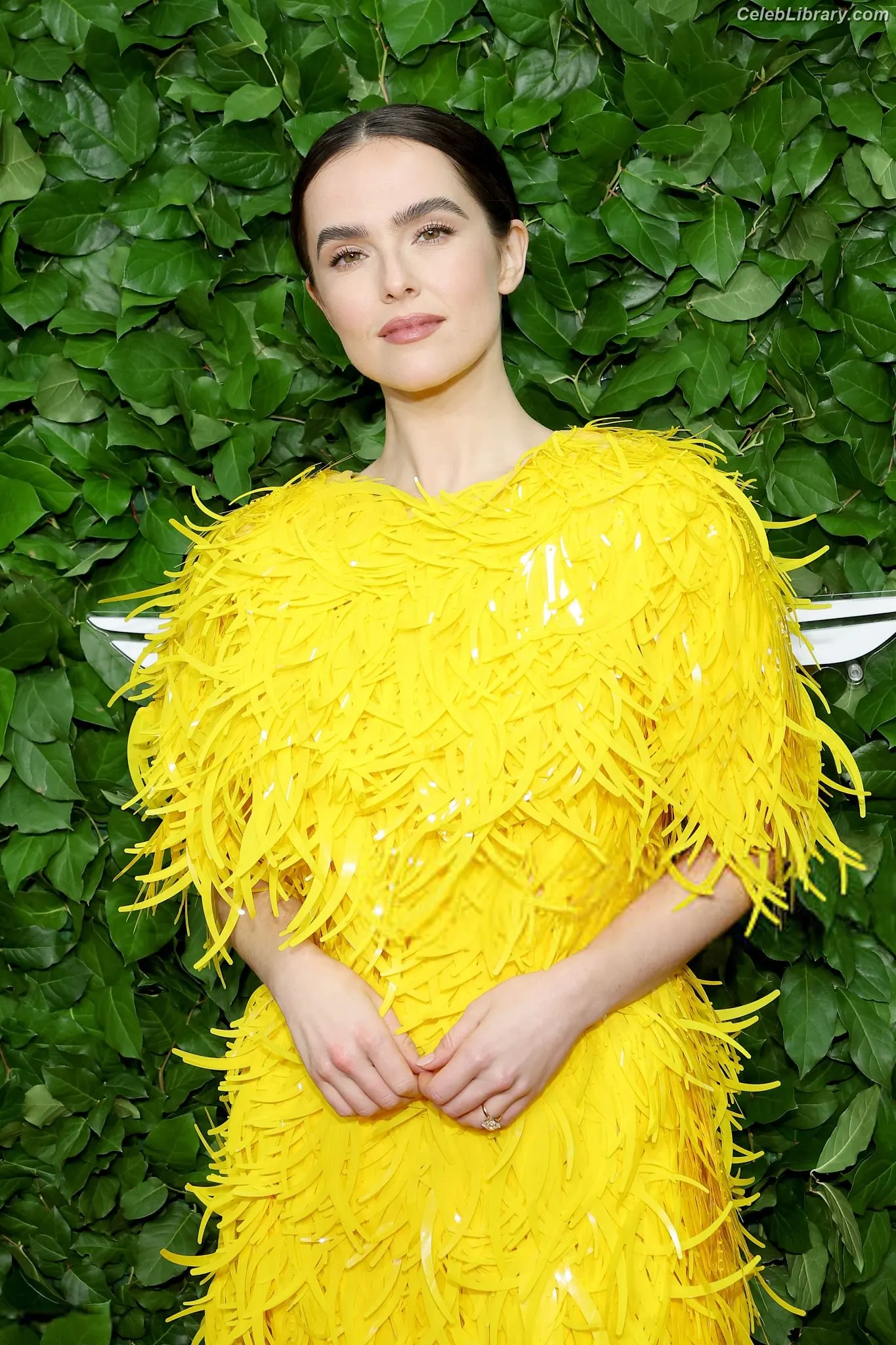 Zoey Deutch photo 9 of 1463