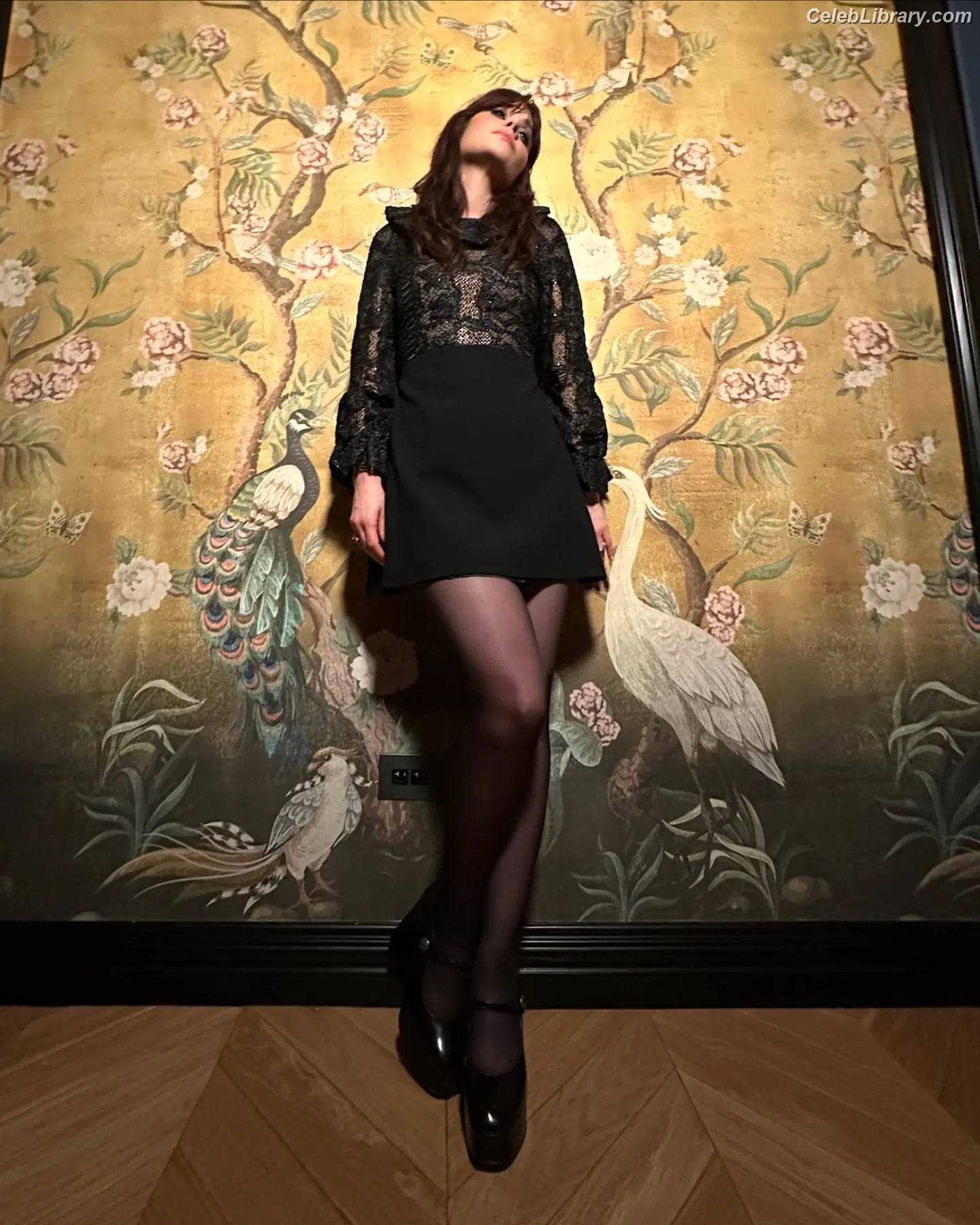 Zooey Deschanel photo 10 of 372